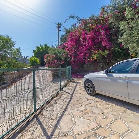 Splendid With Private Pool And Olive Grove In Marmaris * Selimiye (Aegean)