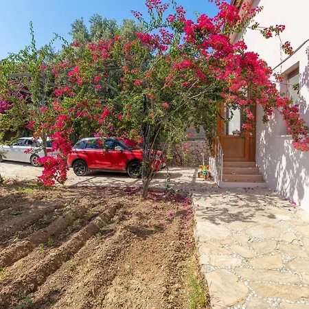 Splendid With Private Pool And Olive Grove In Marmaris Villa