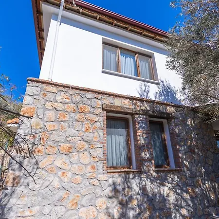 Splendid With Private Pool And Olive Grove In Marmaris Villa *